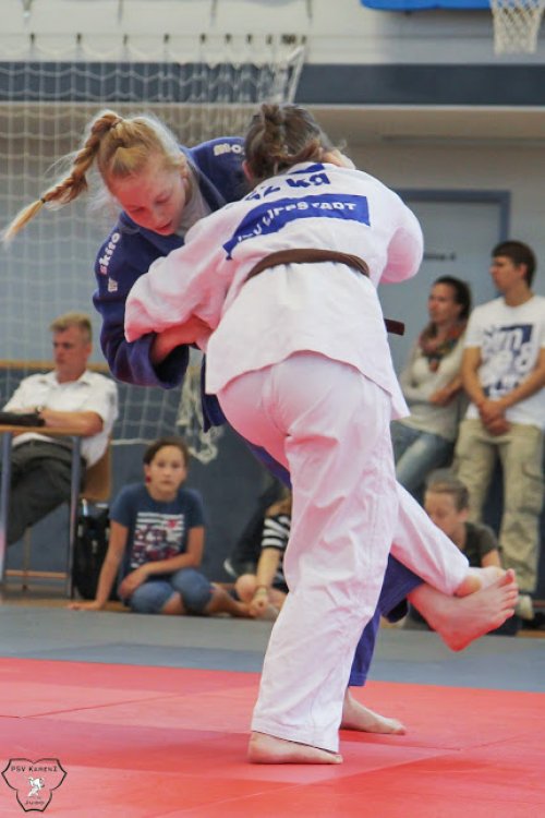 20140705_judo_vl_frauen_5996