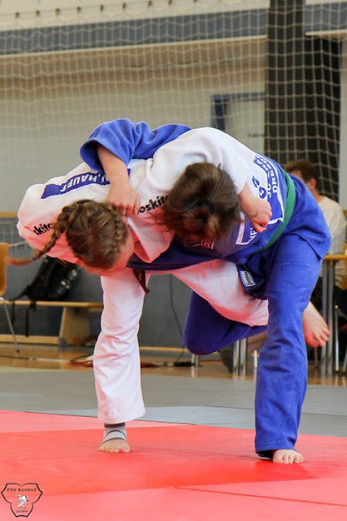 20140705_judo_vl_frauen_6425