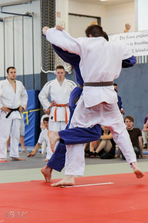 20140705_judo_vl_maenner_7231