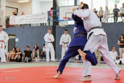 20140705_judo_vl_maenner_7235