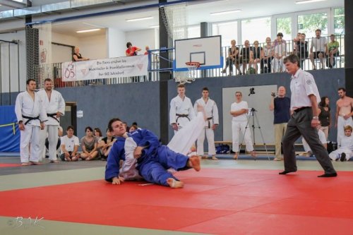 20140705_judo_vl_maenner_7286