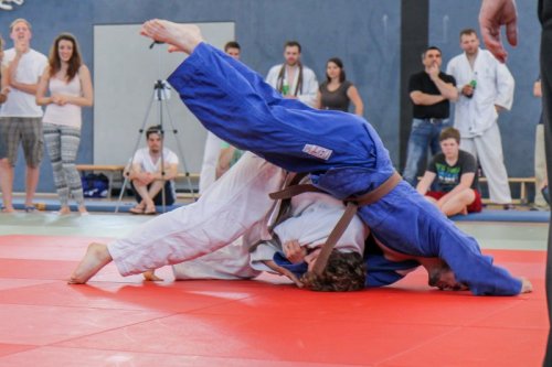 20140705_judo_vl_maenner_7749