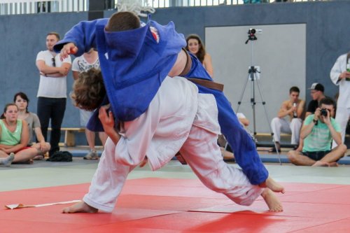 20140705_judo_vl_maenner_7787