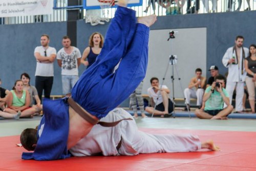 20140705_judo_vl_maenner_7788