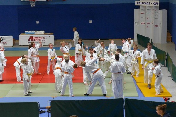 judo_kamenz_2015_-01